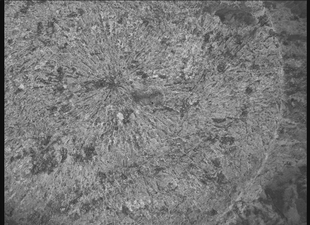 Foto de Marte da câmera SHERLOC_WATSON