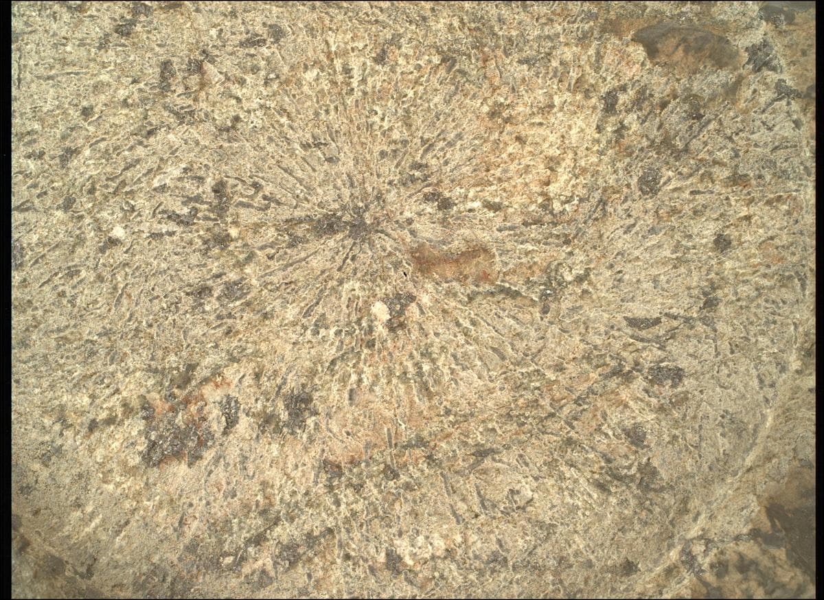 Foto de Marte da câmera SHERLOC_WATSON