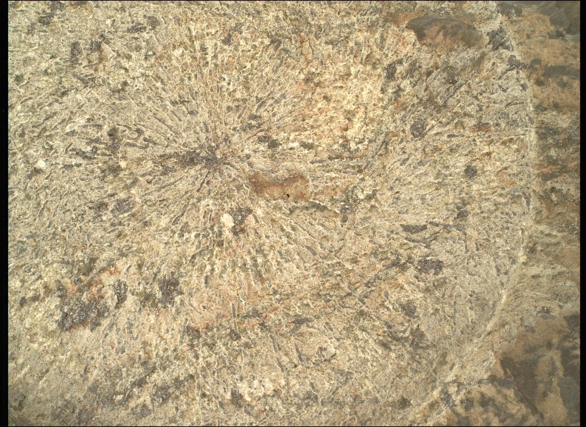 Foto de Marte da câmera SHERLOC_WATSON