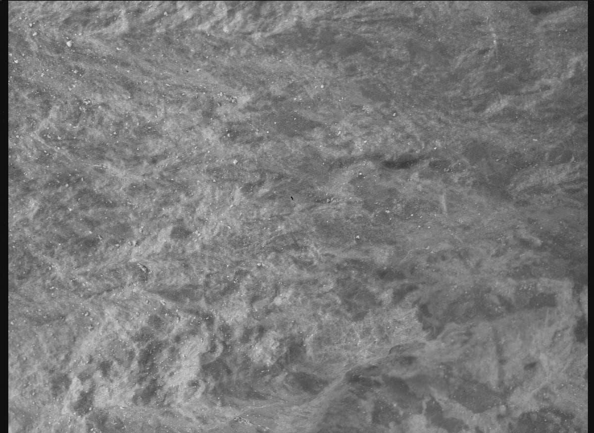 Foto de Marte da câmera SHERLOC_WATSON