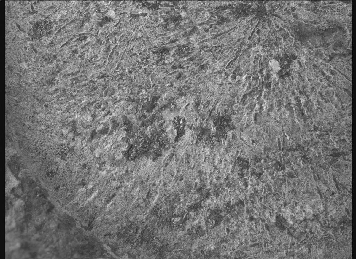 Foto de Marte da câmera SHERLOC_WATSON