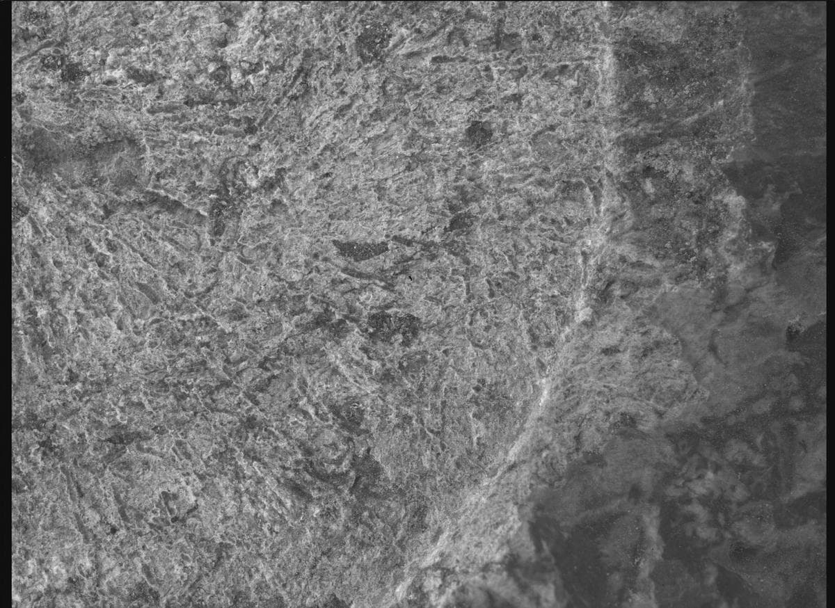 Foto de Marte do dia 2026-03-14