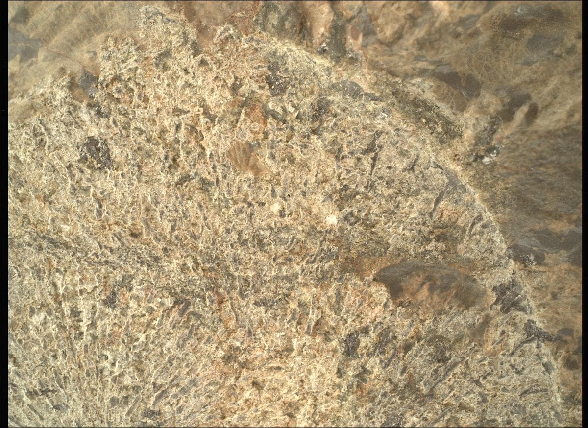 Foto de Marte da câmera SHERLOC_WATSON