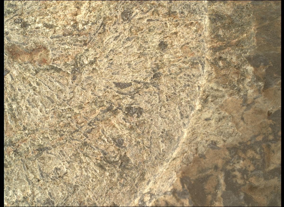 Foto de Marte do dia 2026-03-14