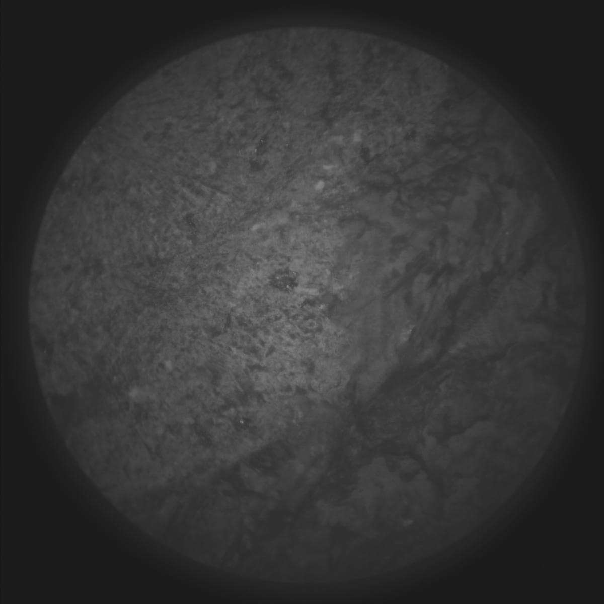 Foto de Marte da câmera SUPERCAM_RMI