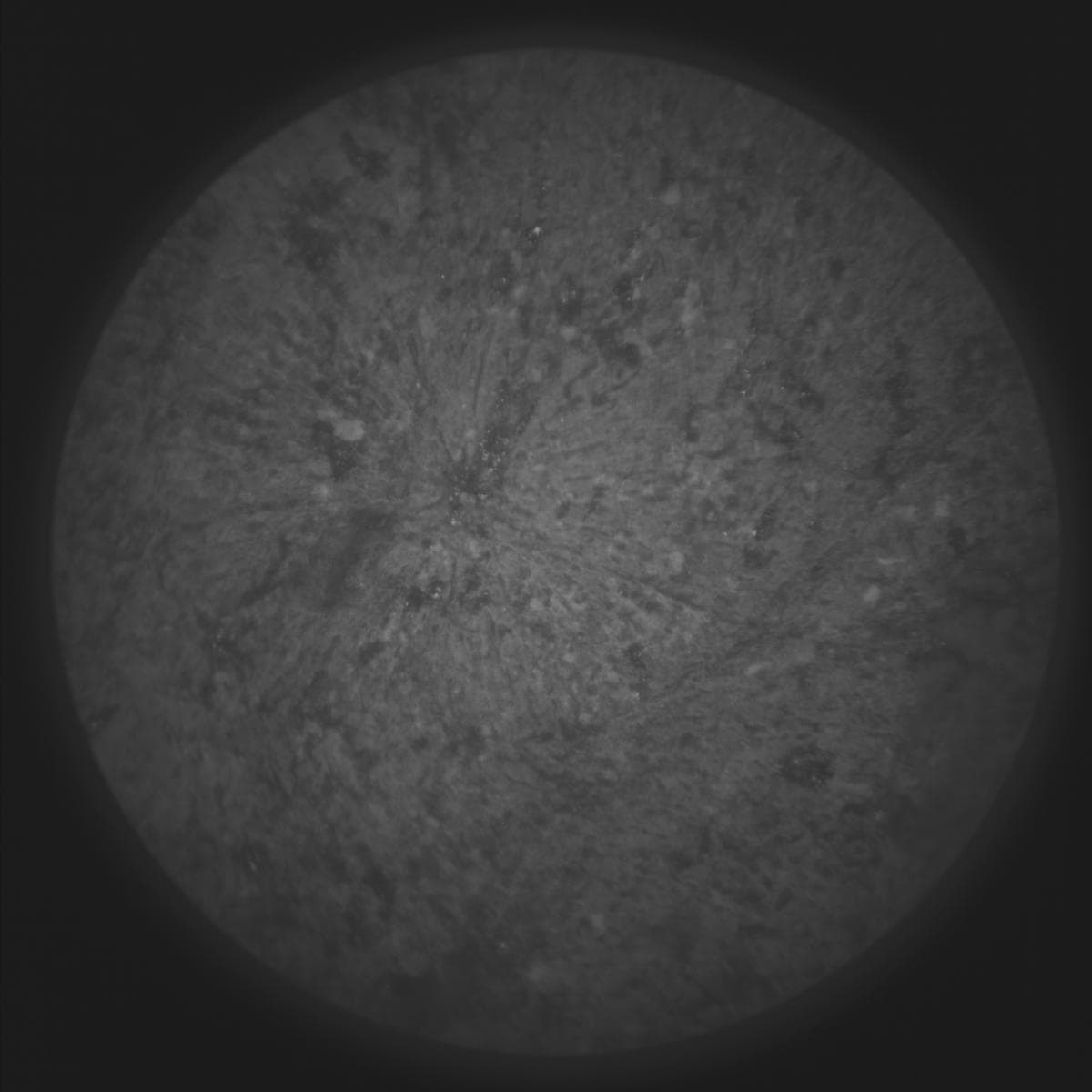 Foto do rover em Marte de 2026-03-15