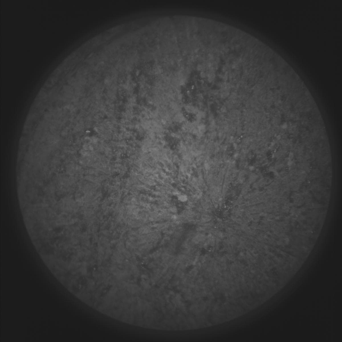 Foto do rover em Marte de 2026-03-15