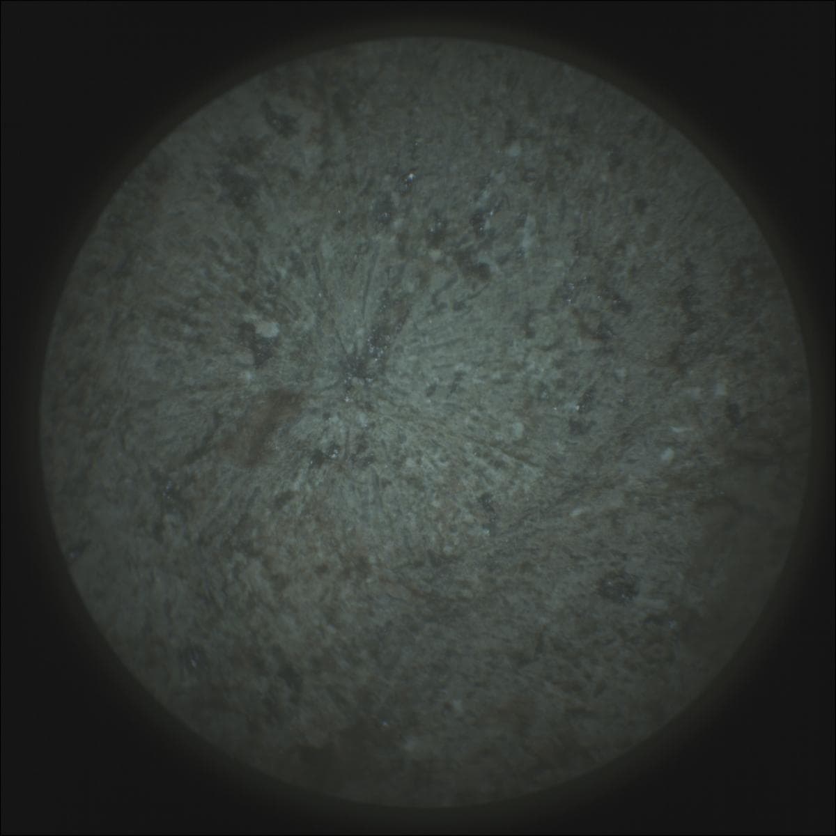 Foto do rover em Marte de 2026-03-15