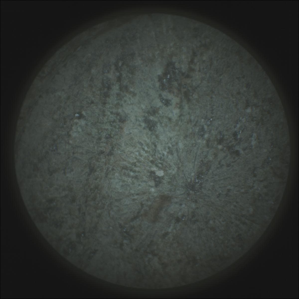 Foto do rover em Marte de 2026-03-15