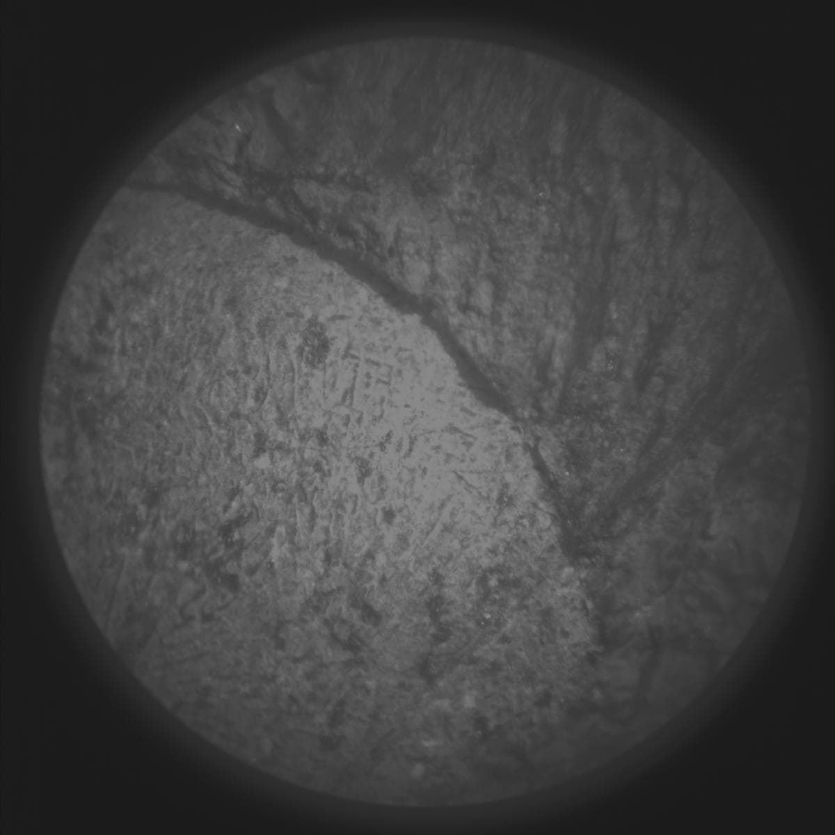 Foto de Marte da câmera SUPERCAM_RMI