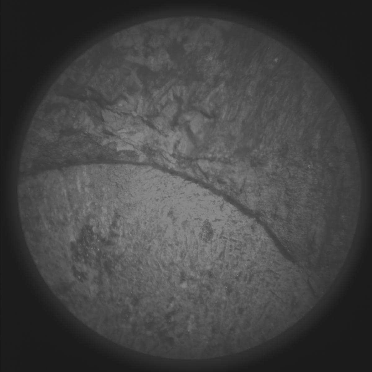 Foto de Marte da câmera SUPERCAM_RMI