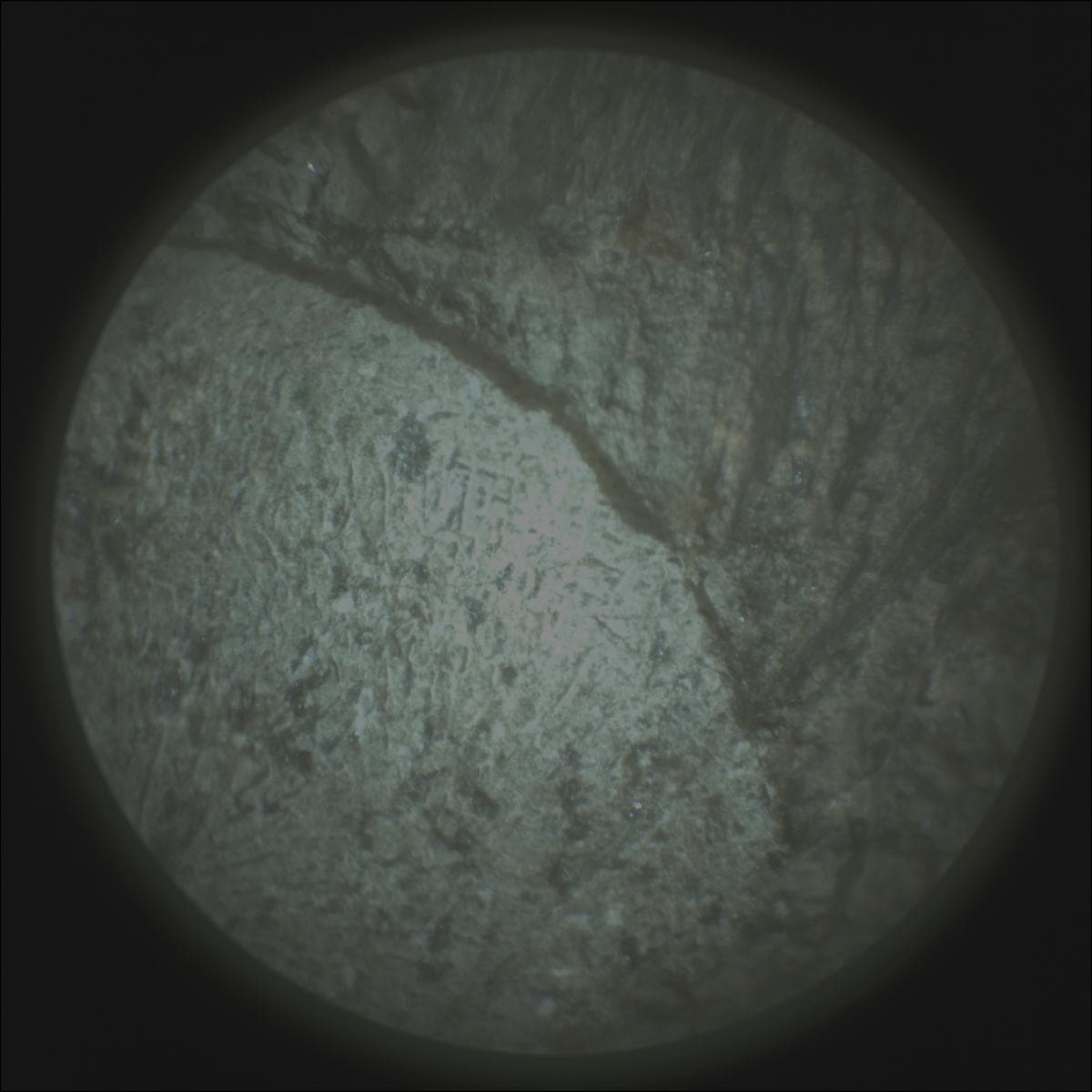 Foto de Marte da câmera SUPERCAM_RMI