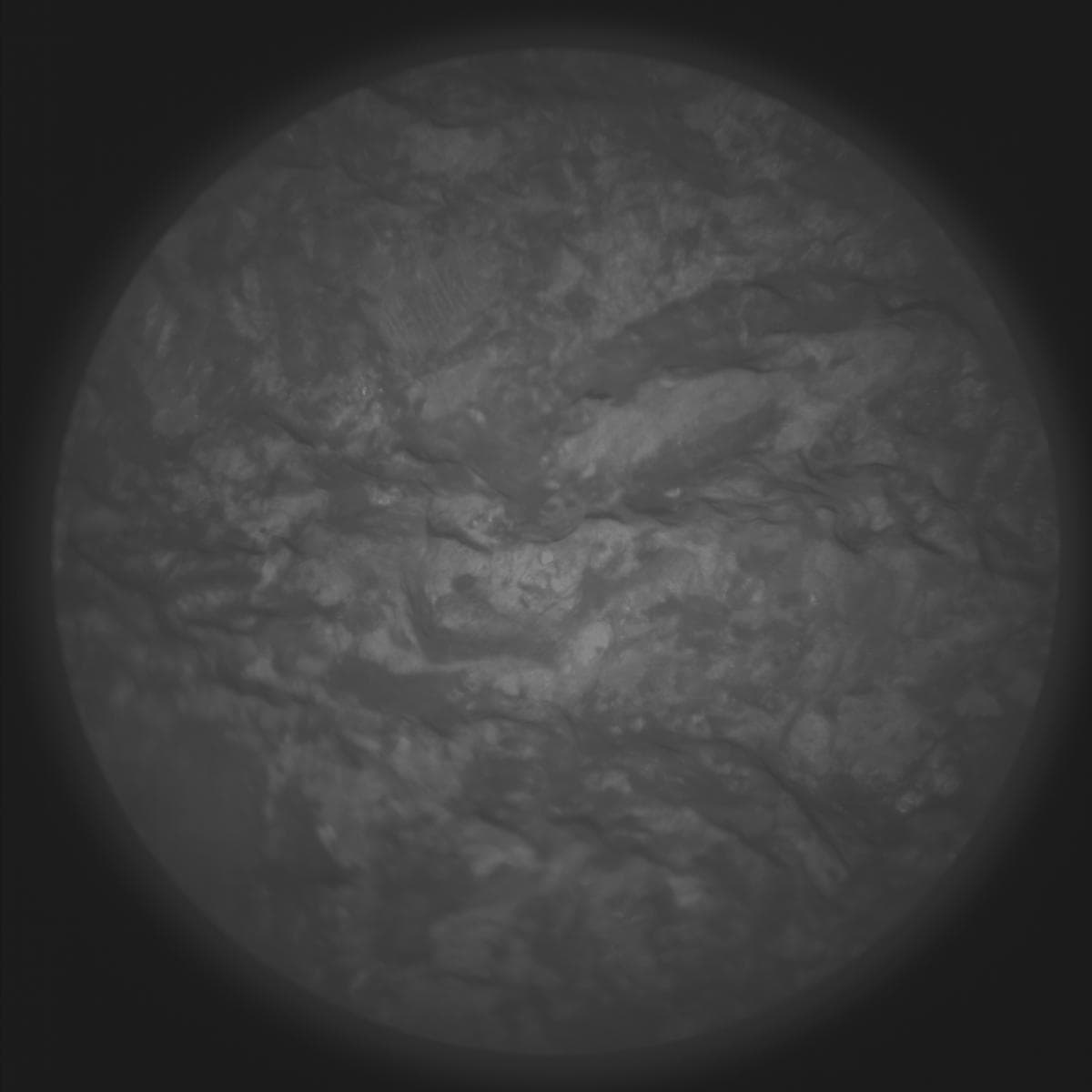 Foto de Marte da câmera SUPERCAM_RMI