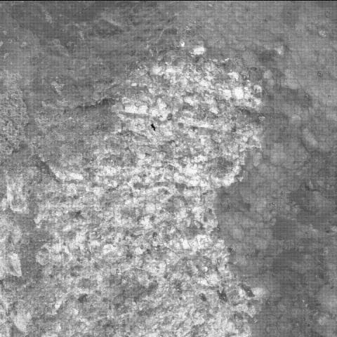 Foto de Marte da câmera SHERLOC_WATSON