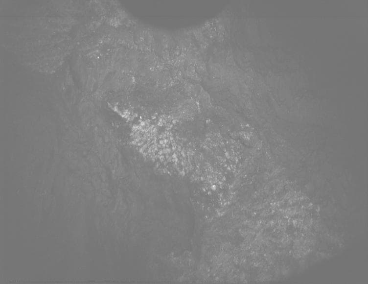 Foto de Marte da câmera PIXL_MCC