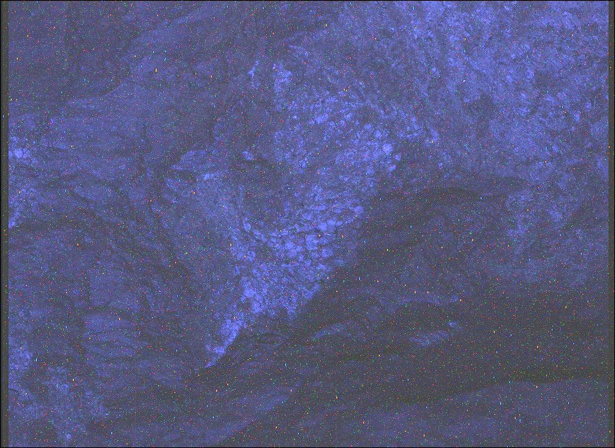 Foto de Marte da câmera SHERLOC_WATSON