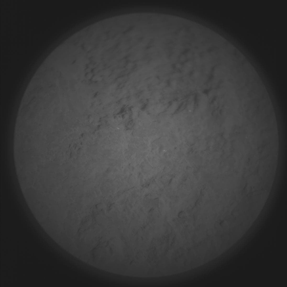 Foto de Marte da câmera SUPERCAM_RMI