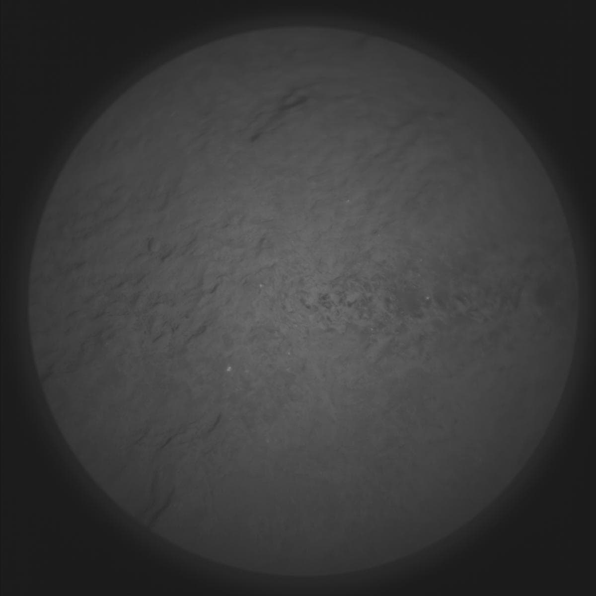 Foto de Marte da câmera SUPERCAM_RMI