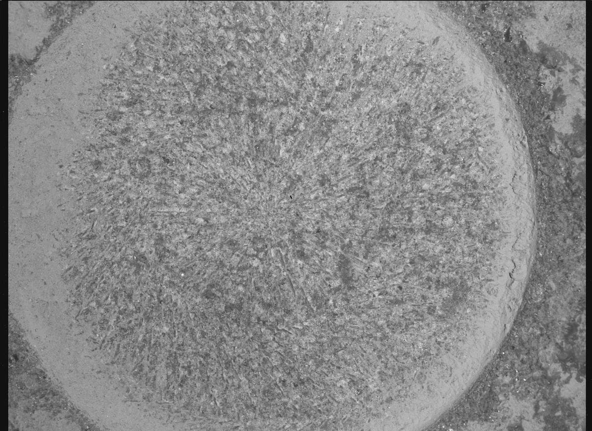 Foto de Marte da câmera SHERLOC_WATSON