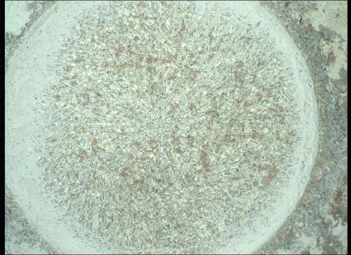 Foto de Marte da câmera SHERLOC_WATSON