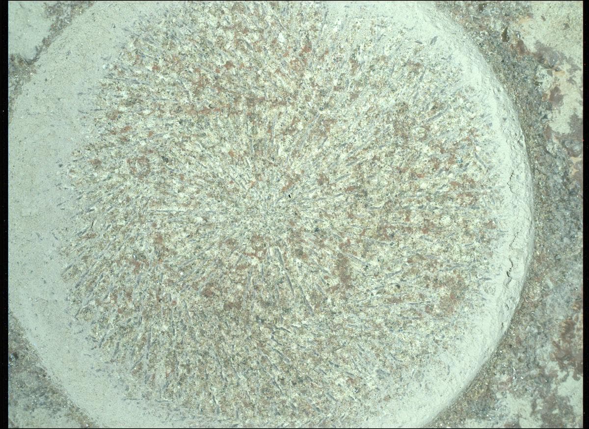 Foto de Marte da câmera SHERLOC_WATSON