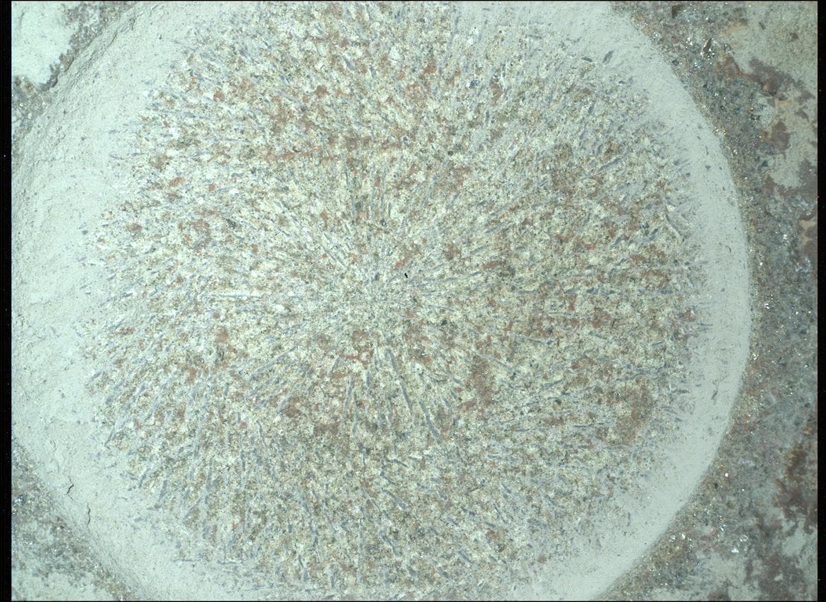 Foto de Marte da câmera SHERLOC_WATSON