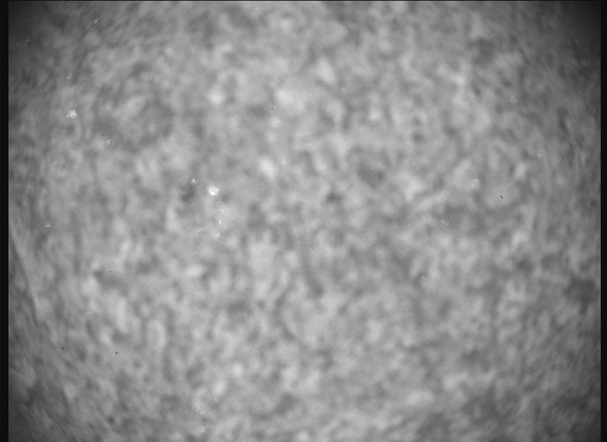 Foto de Marte da câmera SHERLOC_ACI