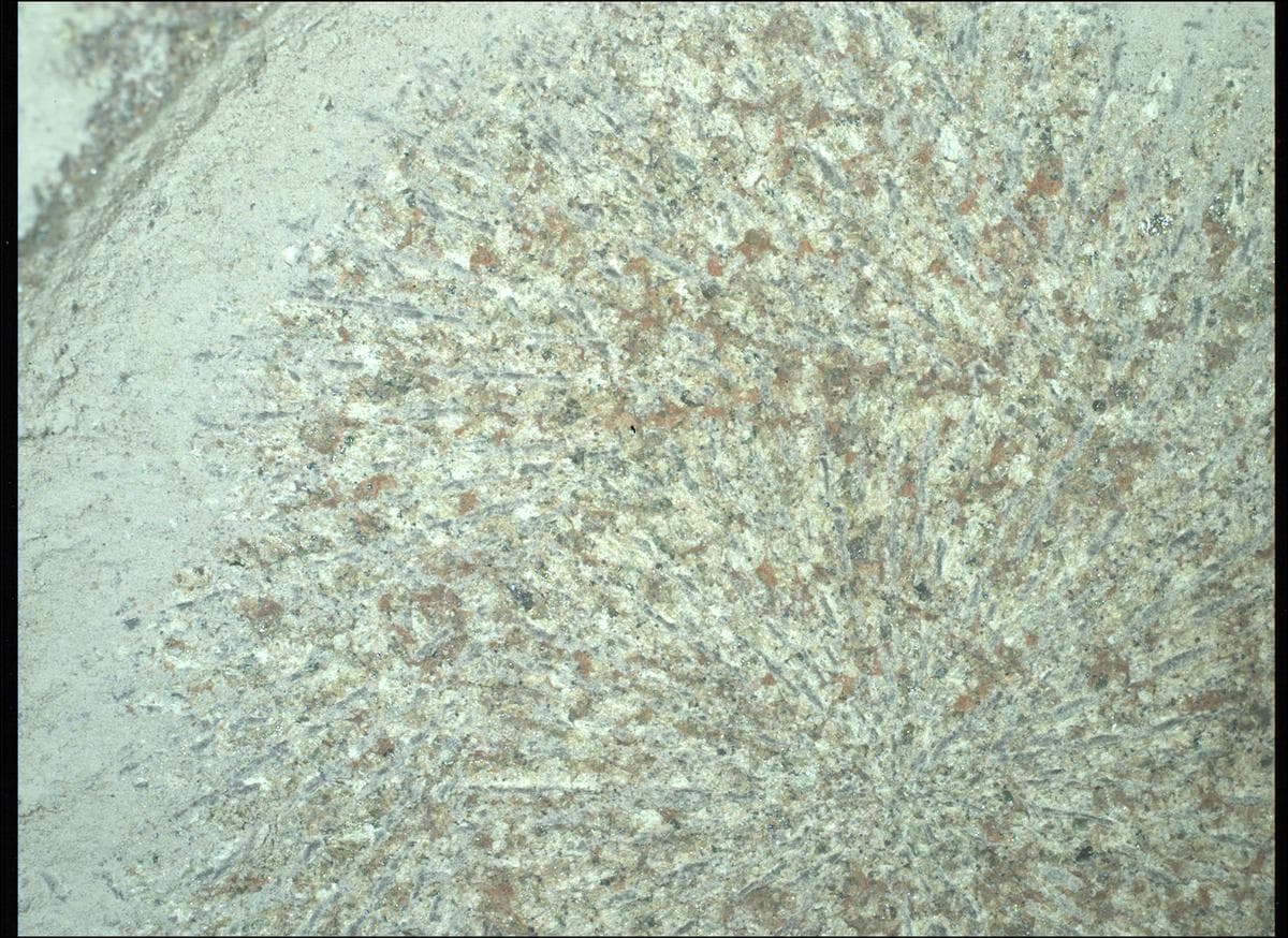 Foto de Marte da câmera SHERLOC_WATSON