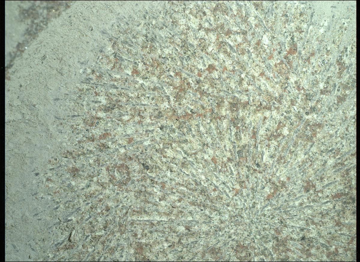 Foto de Marte da câmera SHERLOC_WATSON