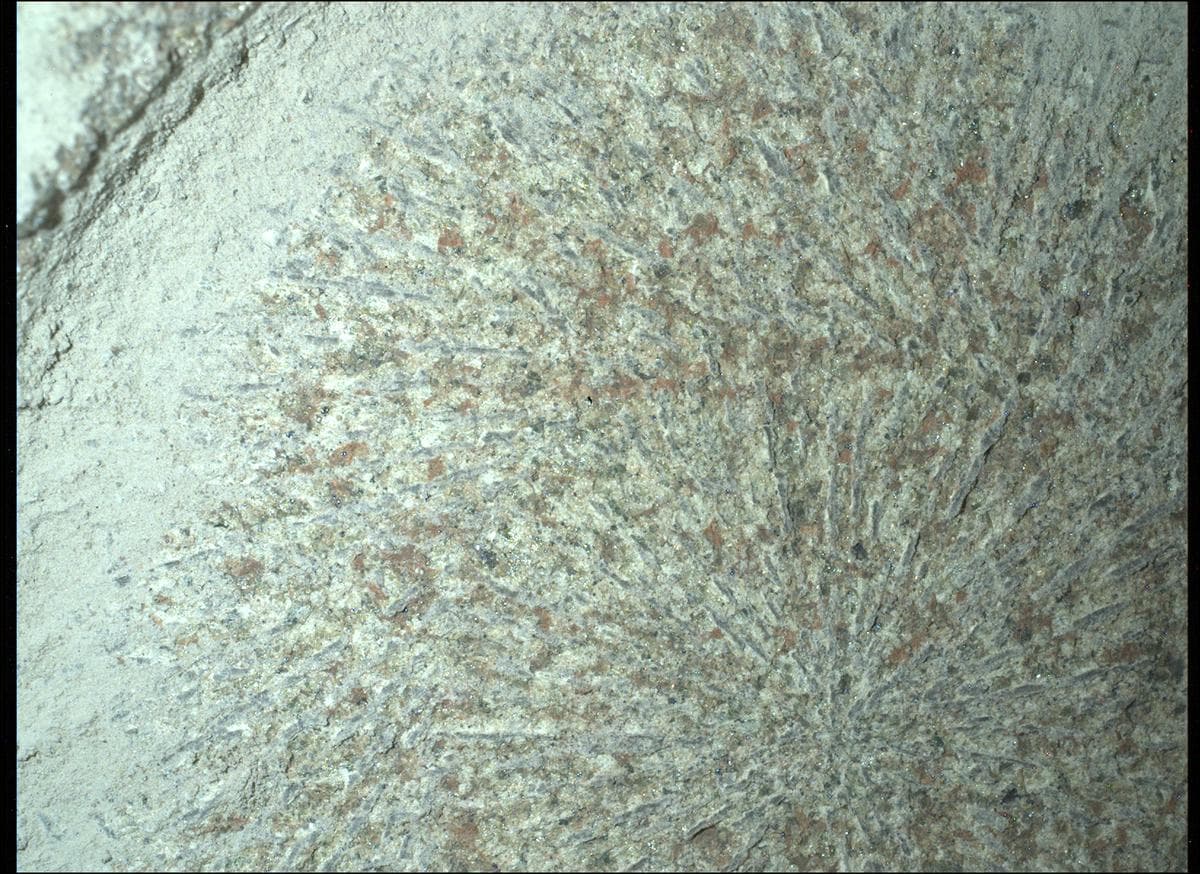 Foto de Marte da câmera SHERLOC_WATSON