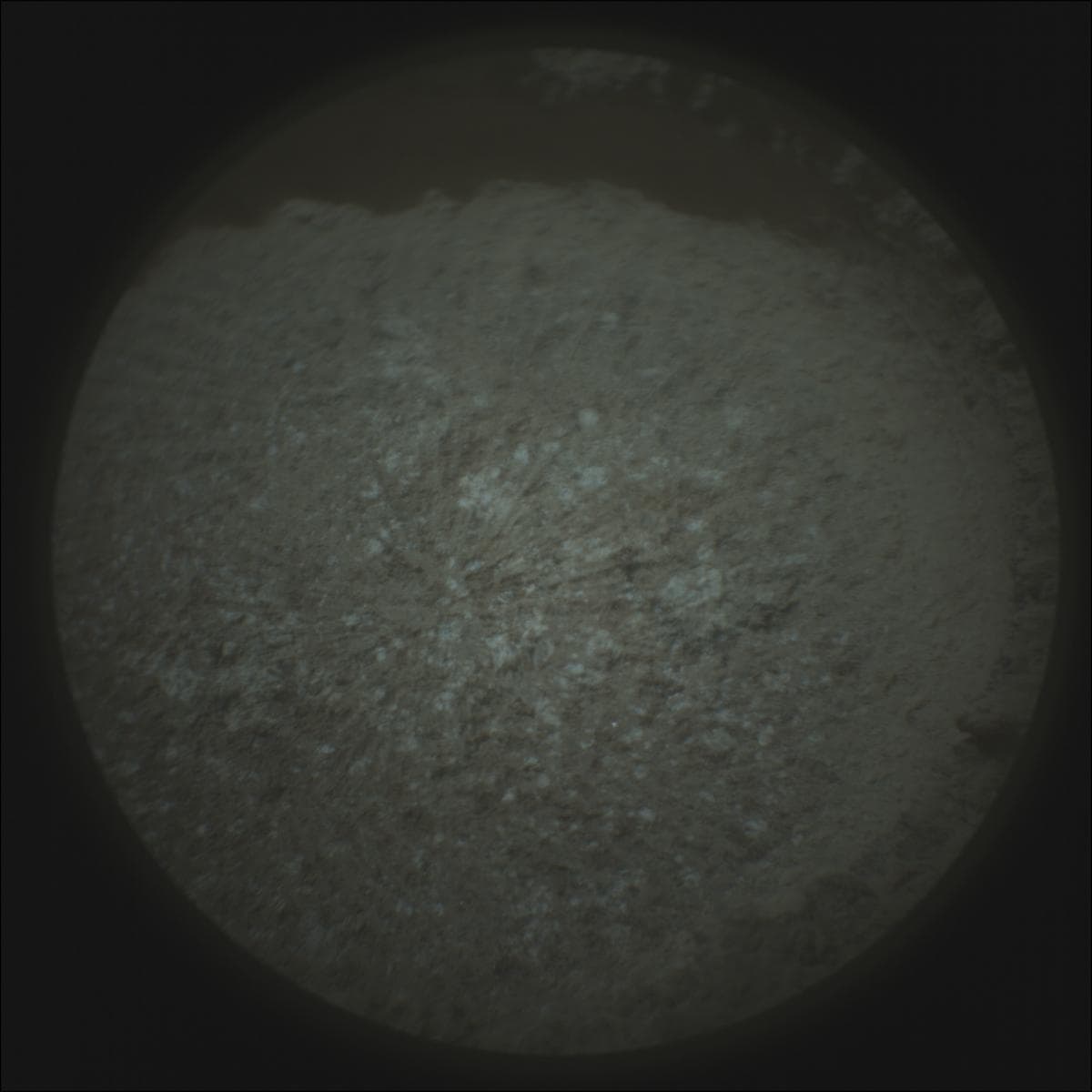 Foto do rover em Marte de 2026-05-01