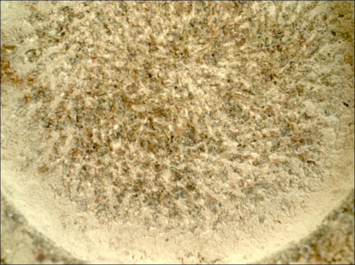 Foto de Marte da câmera SHERLOC_WATSON