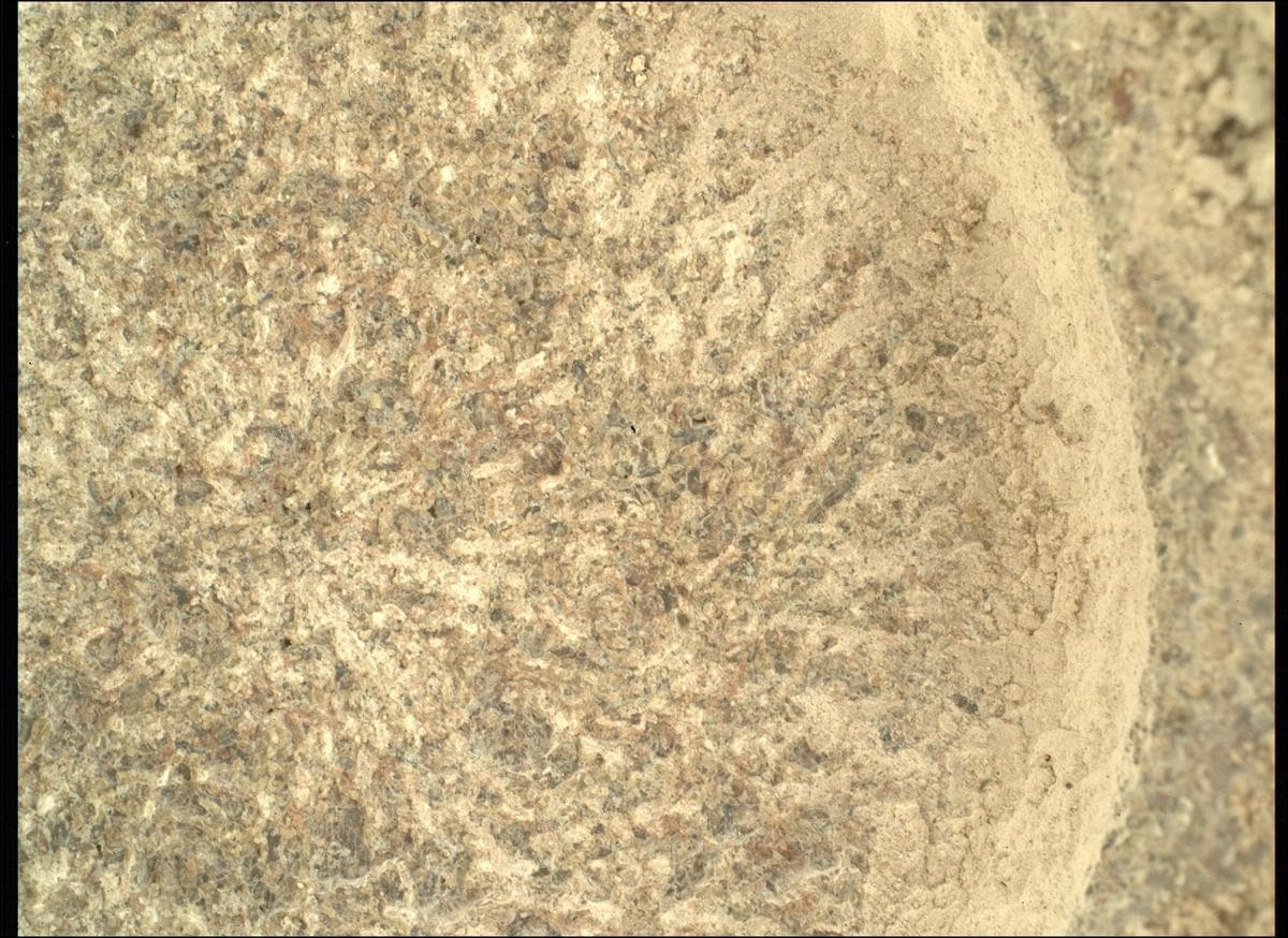 Foto do rover em Marte de 2026-05-09