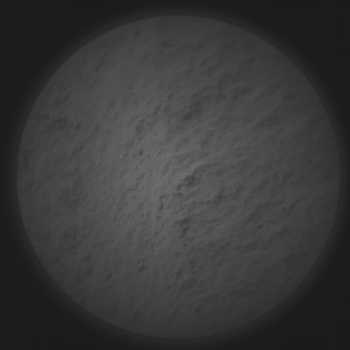 Mars image captured by SUPERCAM_RMI on Perseverance