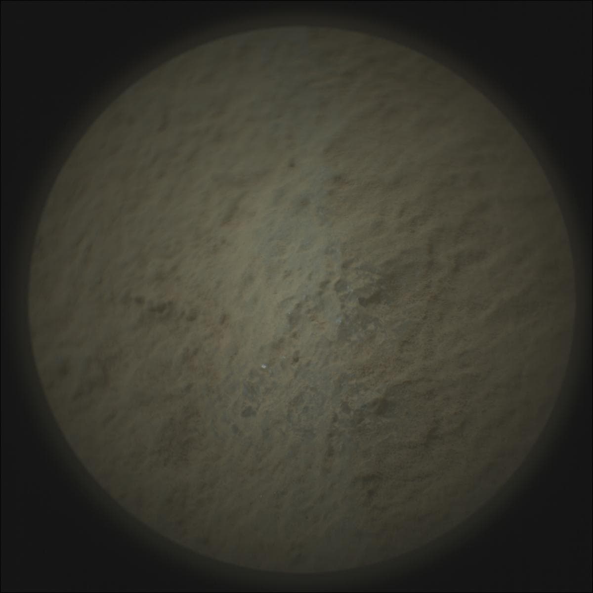 Mars image captured by SUPERCAM_RMI on Perseverance