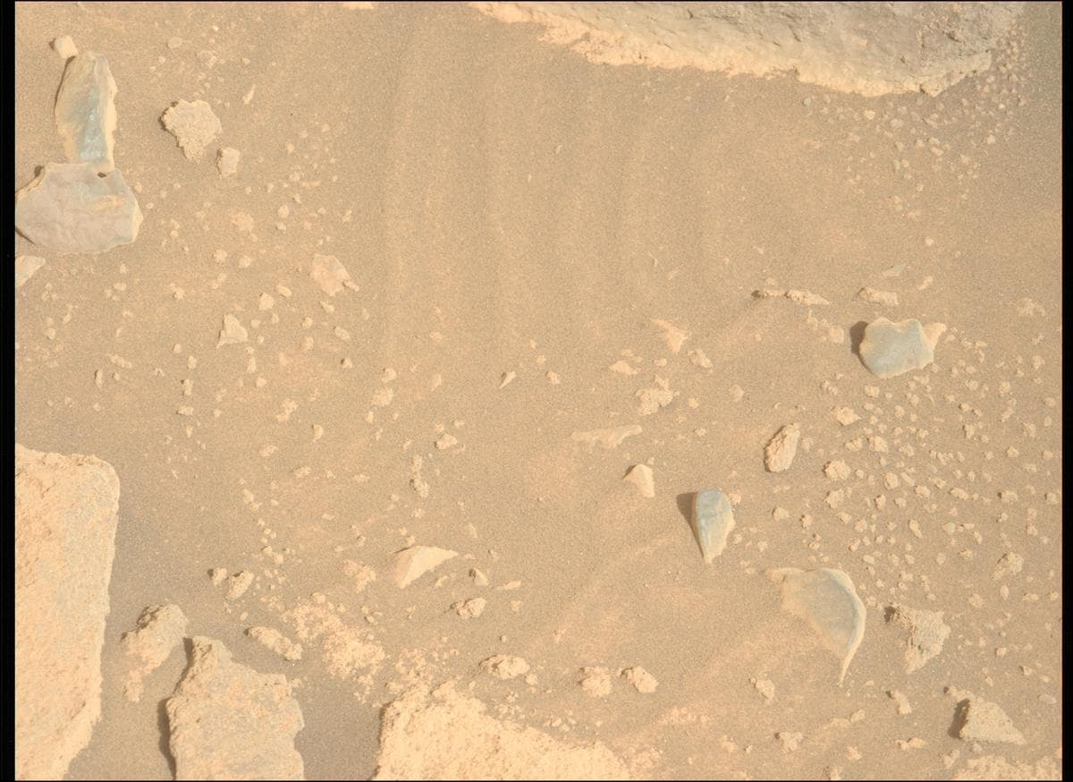 Mars image captured by MCZ_LEFT on Perseverance
