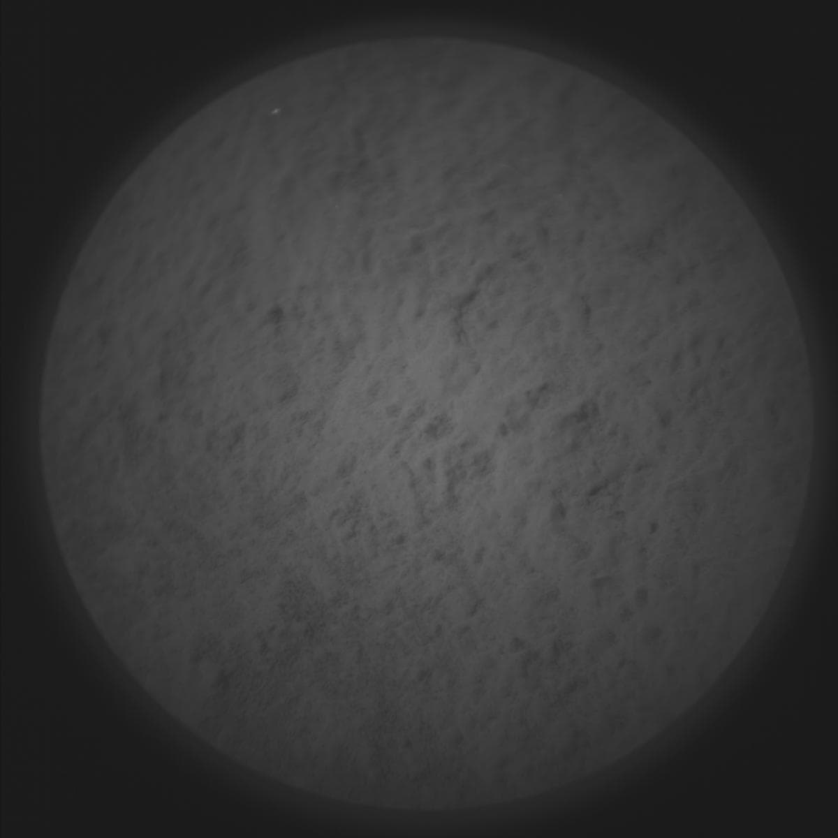 Mars image captured by SUPERCAM_RMI on Perseverance
