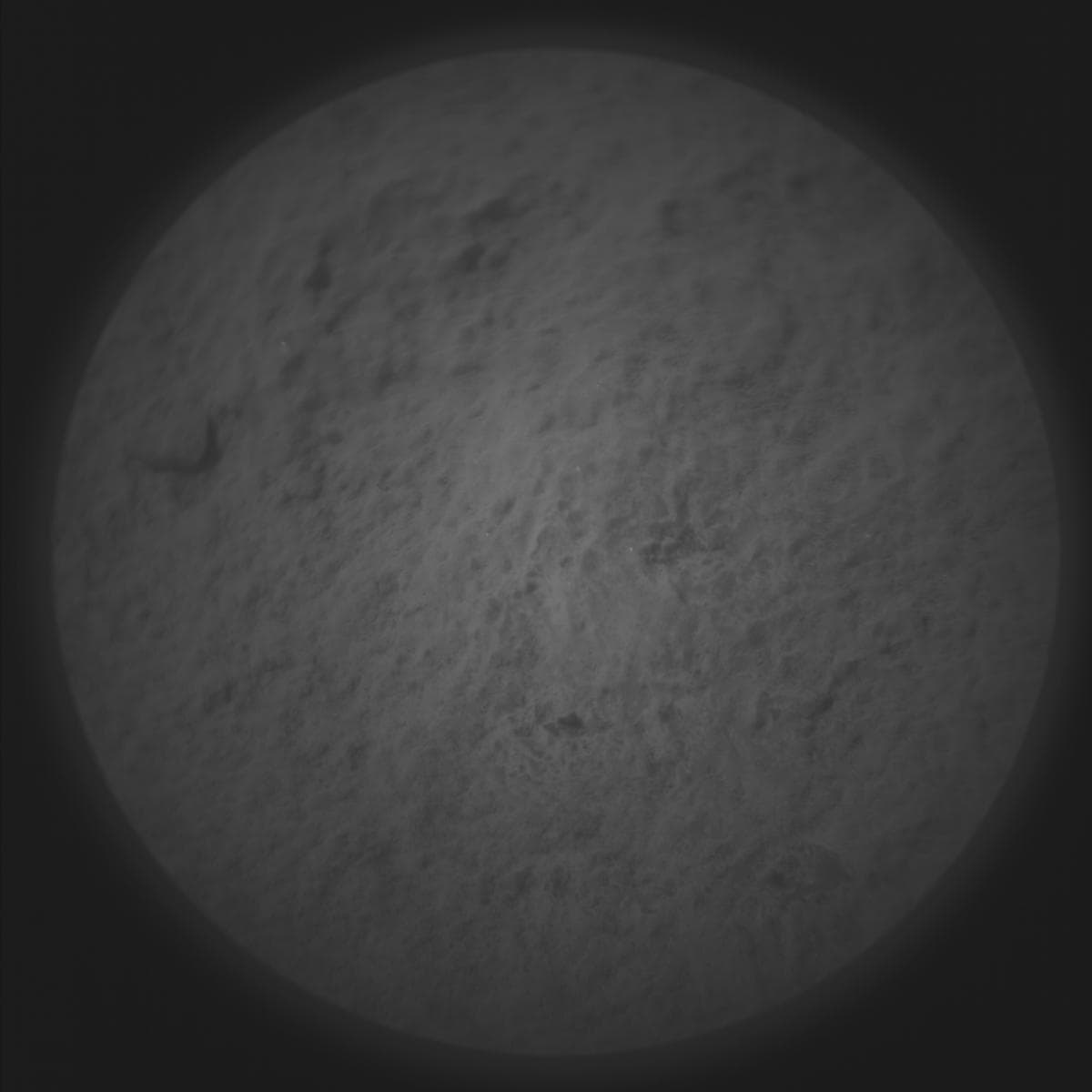Mars image captured by SUPERCAM_RMI on Perseverance
