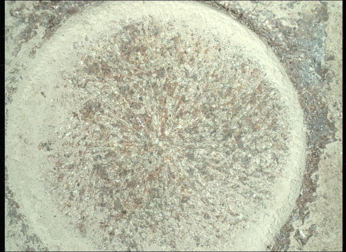 Mars image captured by SHERLOC_WATSON on Perseverance