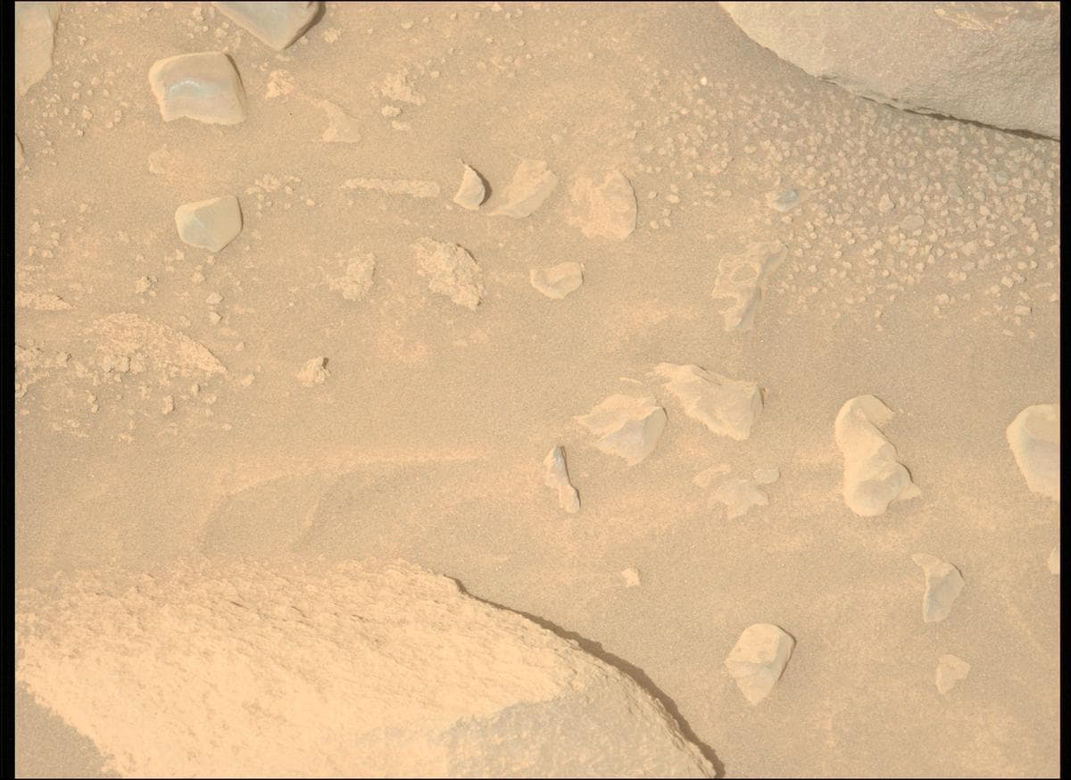 Mars image captured by MCZ_LEFT on Perseverance
