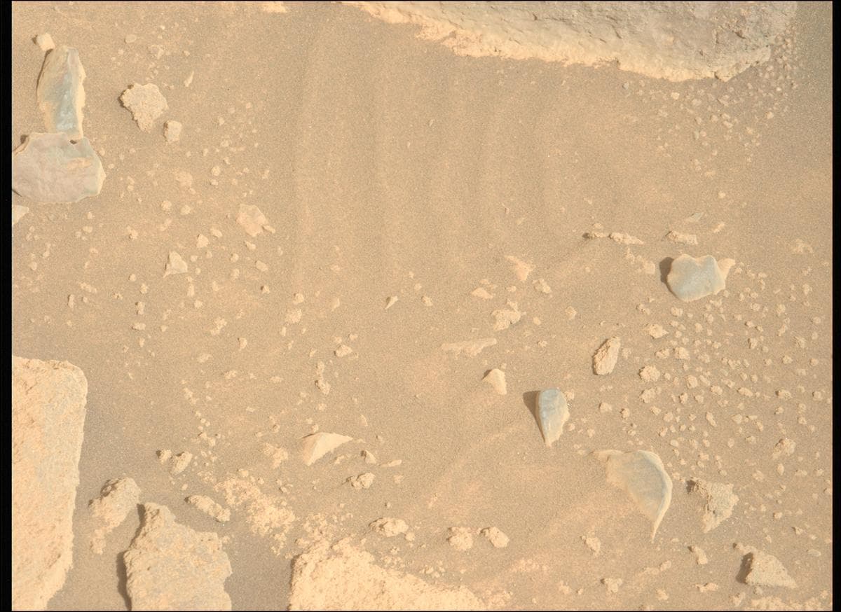 Mars image captured by MCZ_LEFT on Perseverance