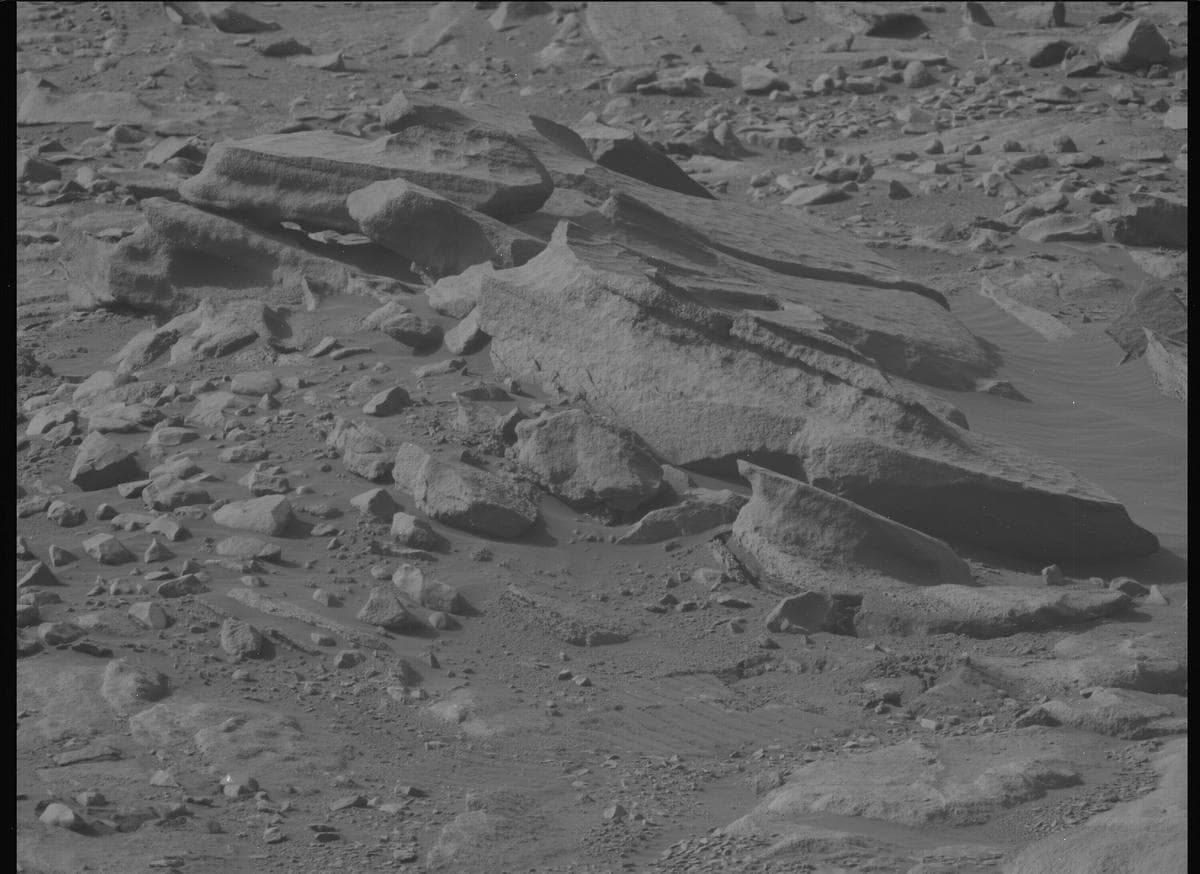 Mars image captured by MCZ_LEFT on Perseverance