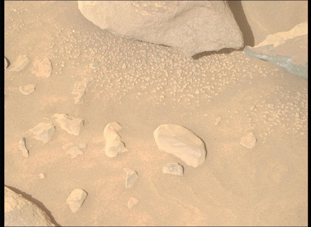 Mars image captured by MCZ_RIGHT on Perseverance