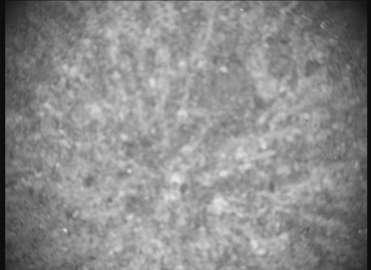 Mars rover photo