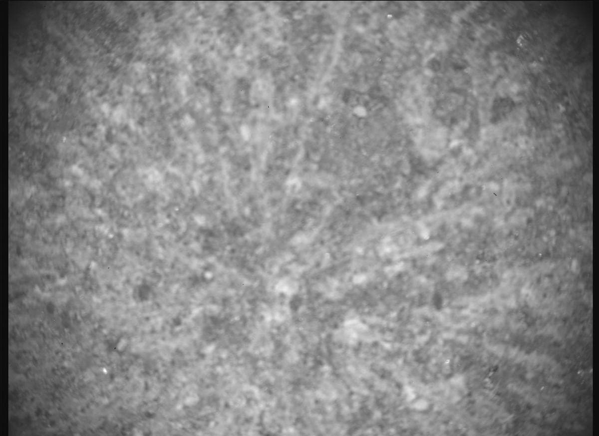 Mars rover photo