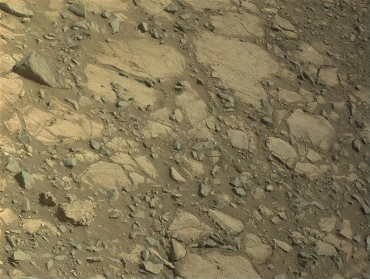 Mars image captured by NAVCAM_LEFT on Perseverance