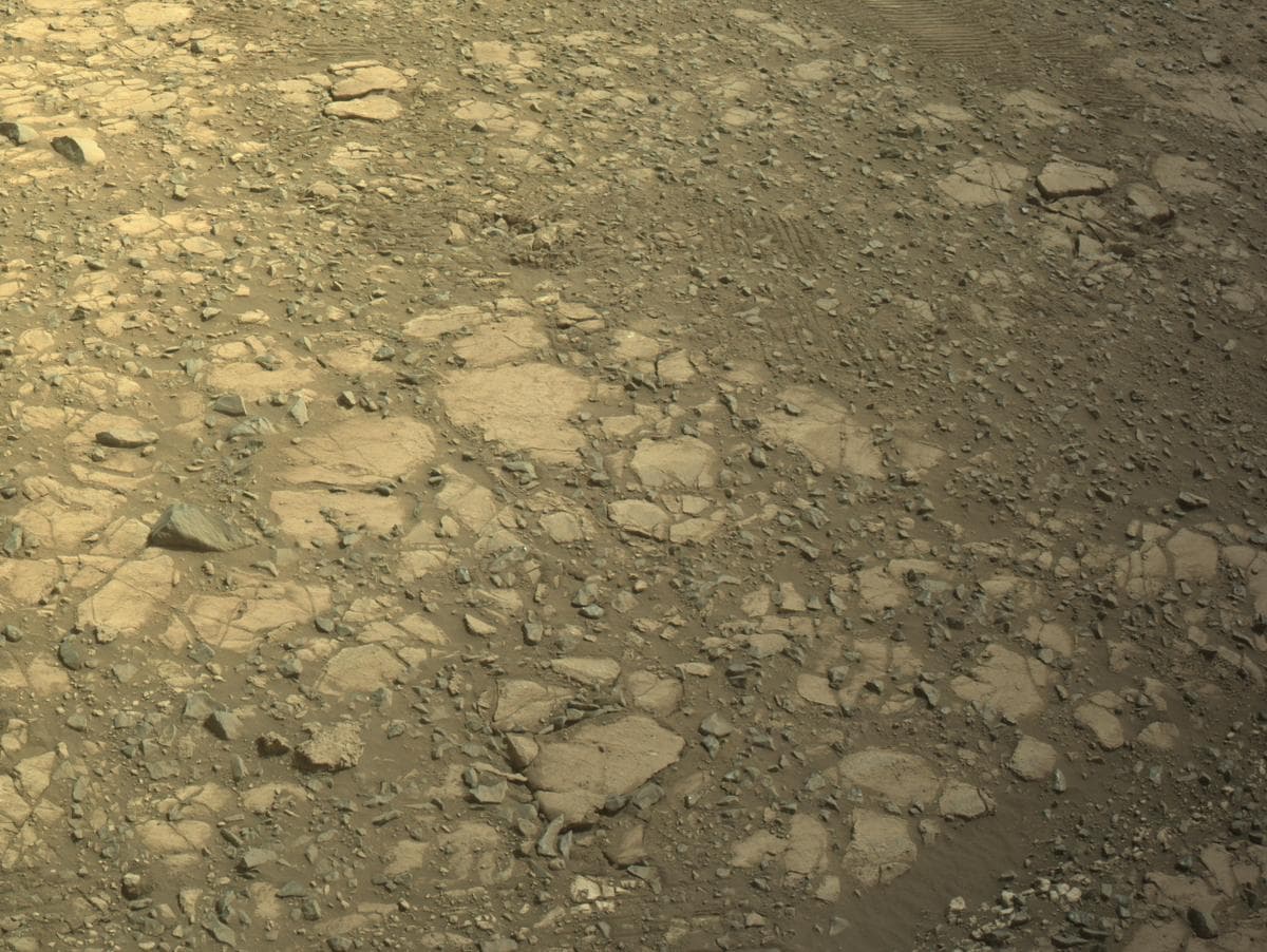 Mars image captured by NAVCAM_LEFT on Perseverance