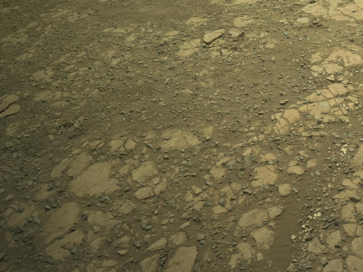 Mars image captured by NAVCAM_LEFT on Perseverance