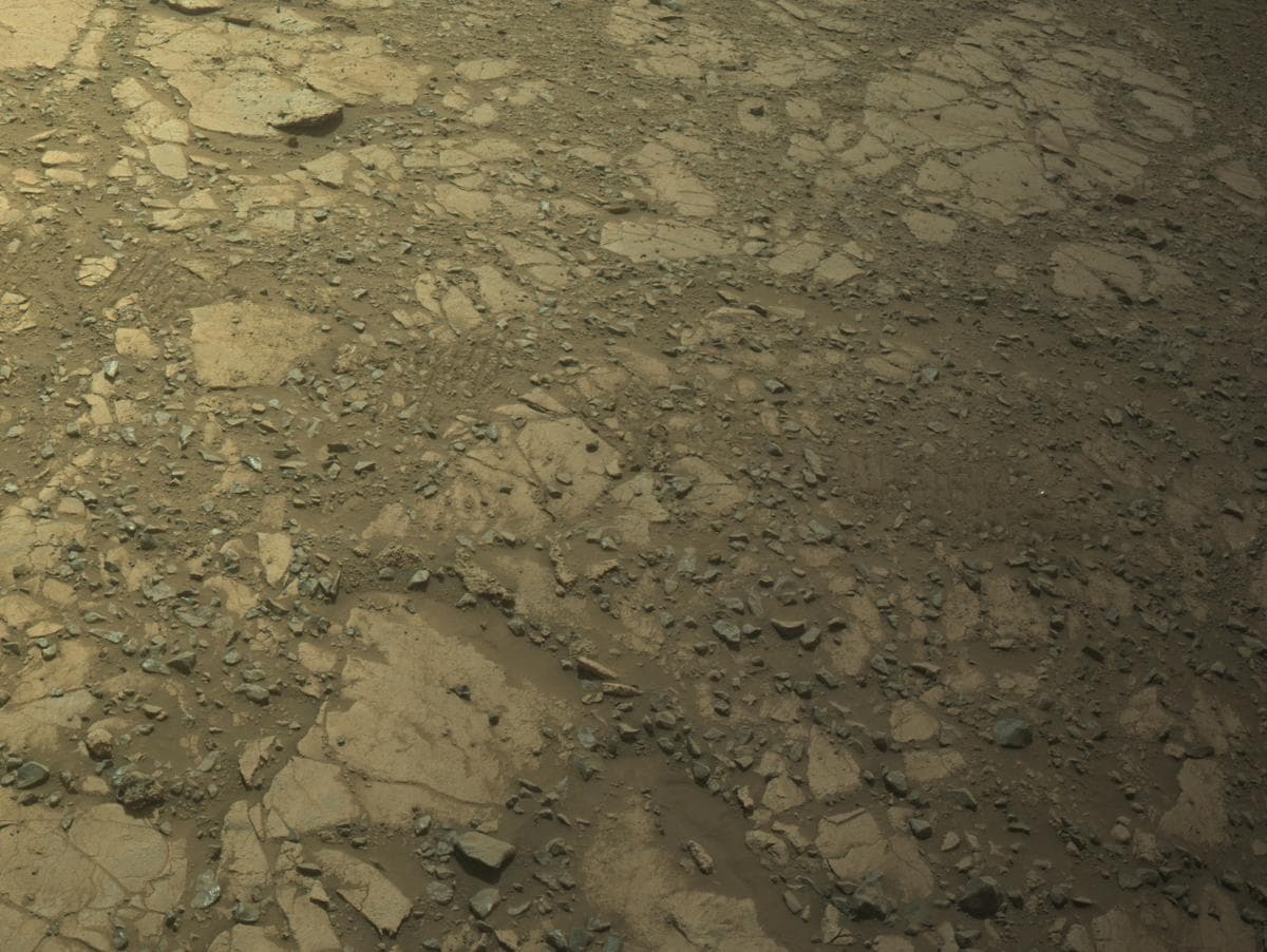 Mars image captured by NAVCAM_LEFT on Perseverance