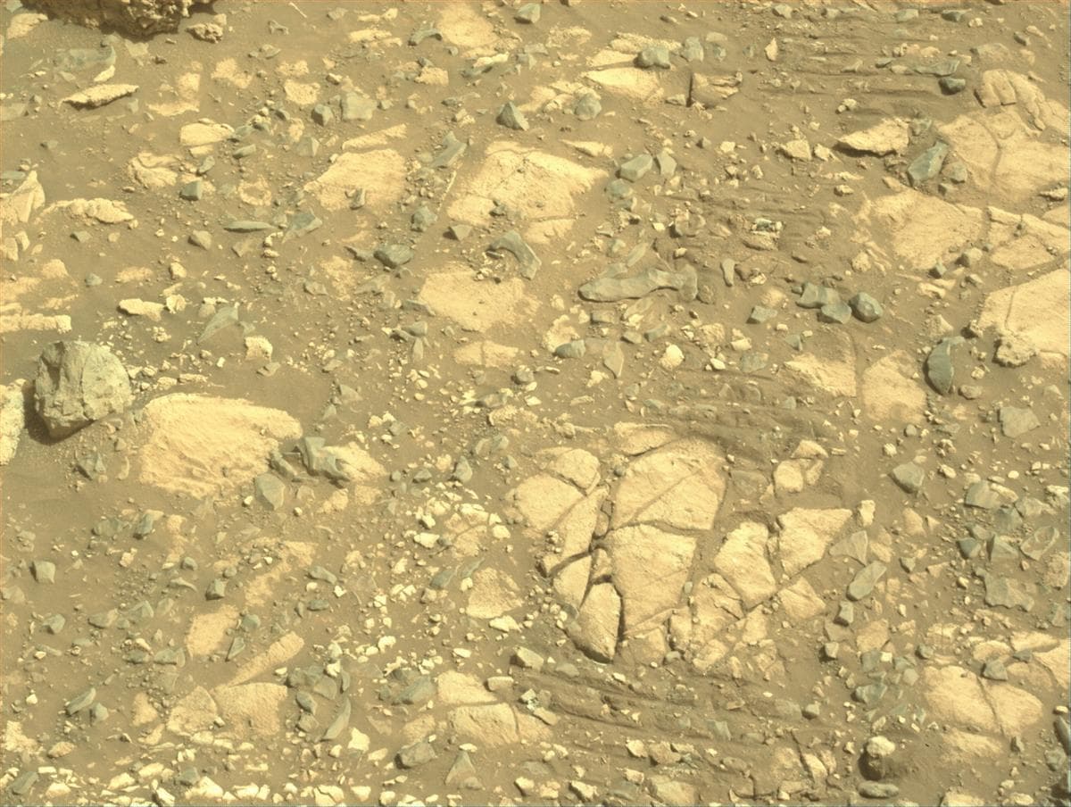 Mars image captured by NAVCAM_RIGHT on Perseverance